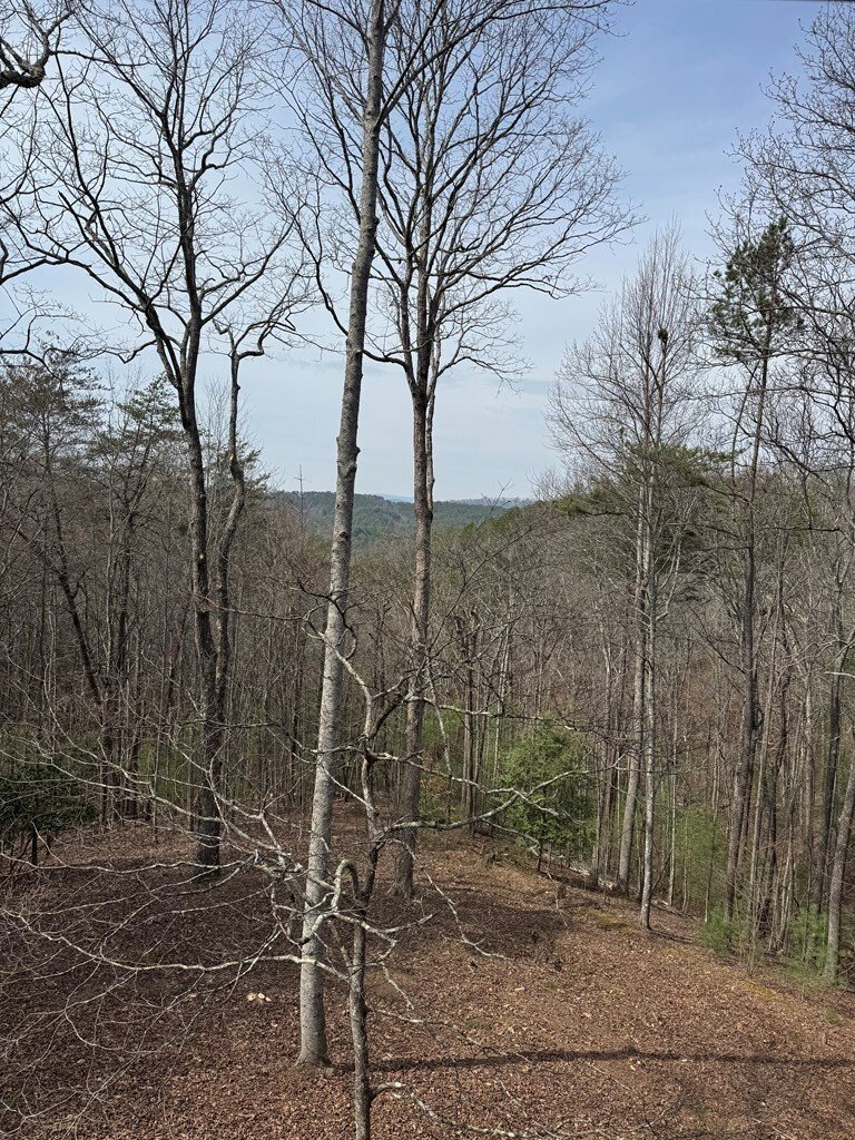 House in Morganton, Georgia, United States 5 - 17662509