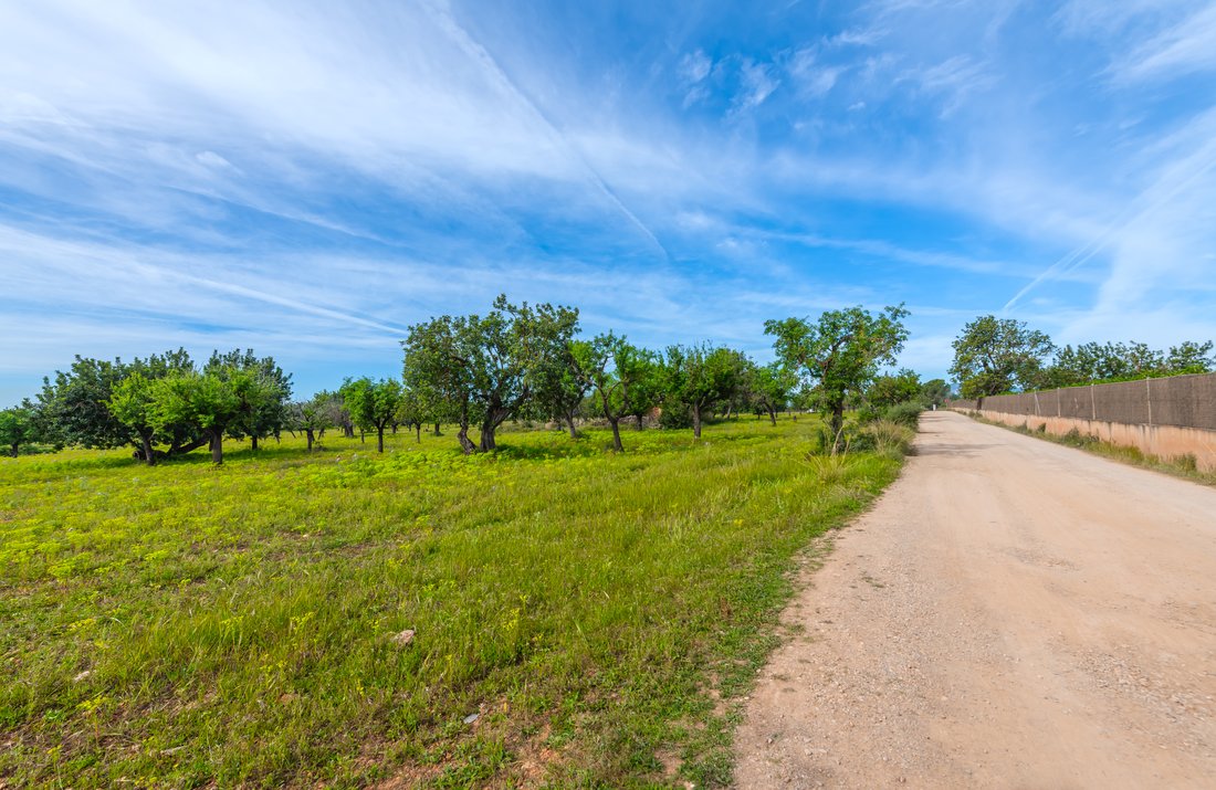 Land in Marratxi, Balearic Islands, Spain 4 - 17662647