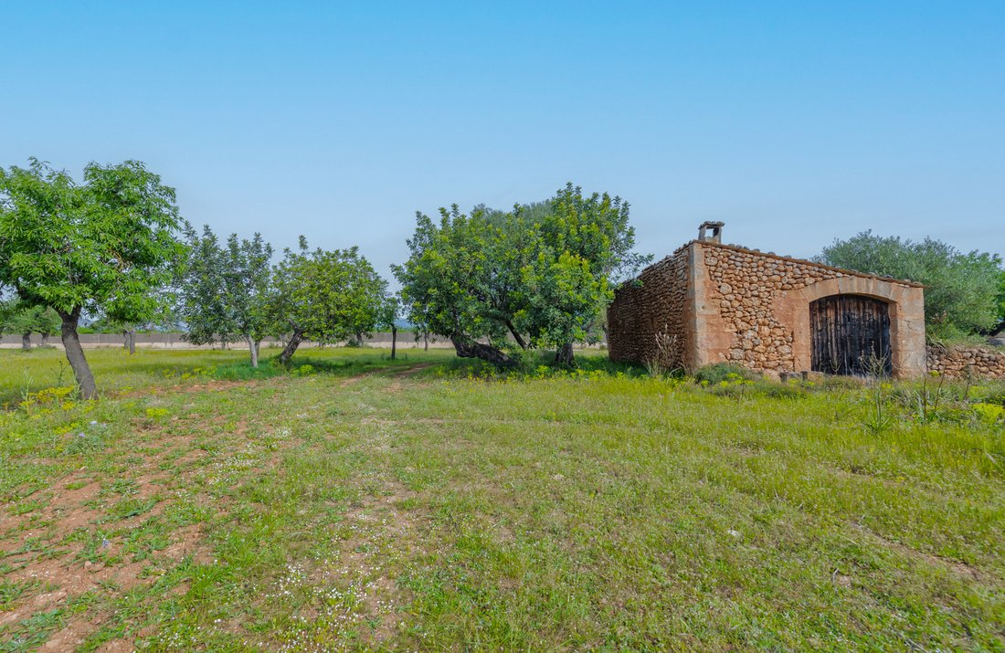 Land in Marratxi, Balearic Islands, Spain 1 - 17662647