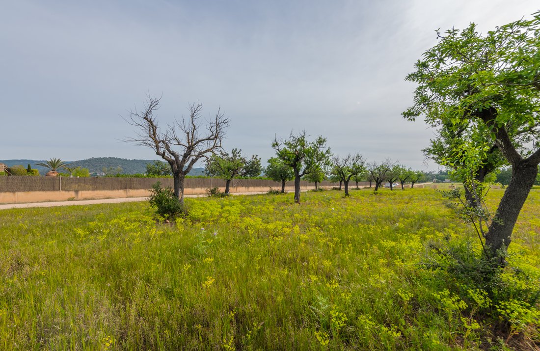 Land in Marratxi, Balearic Islands, Spain 2 - 17662647