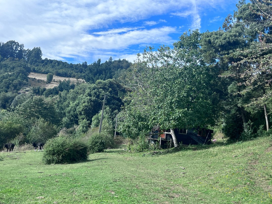 Land in Rininahue, Los Ríos, Chile 3 - 17664755