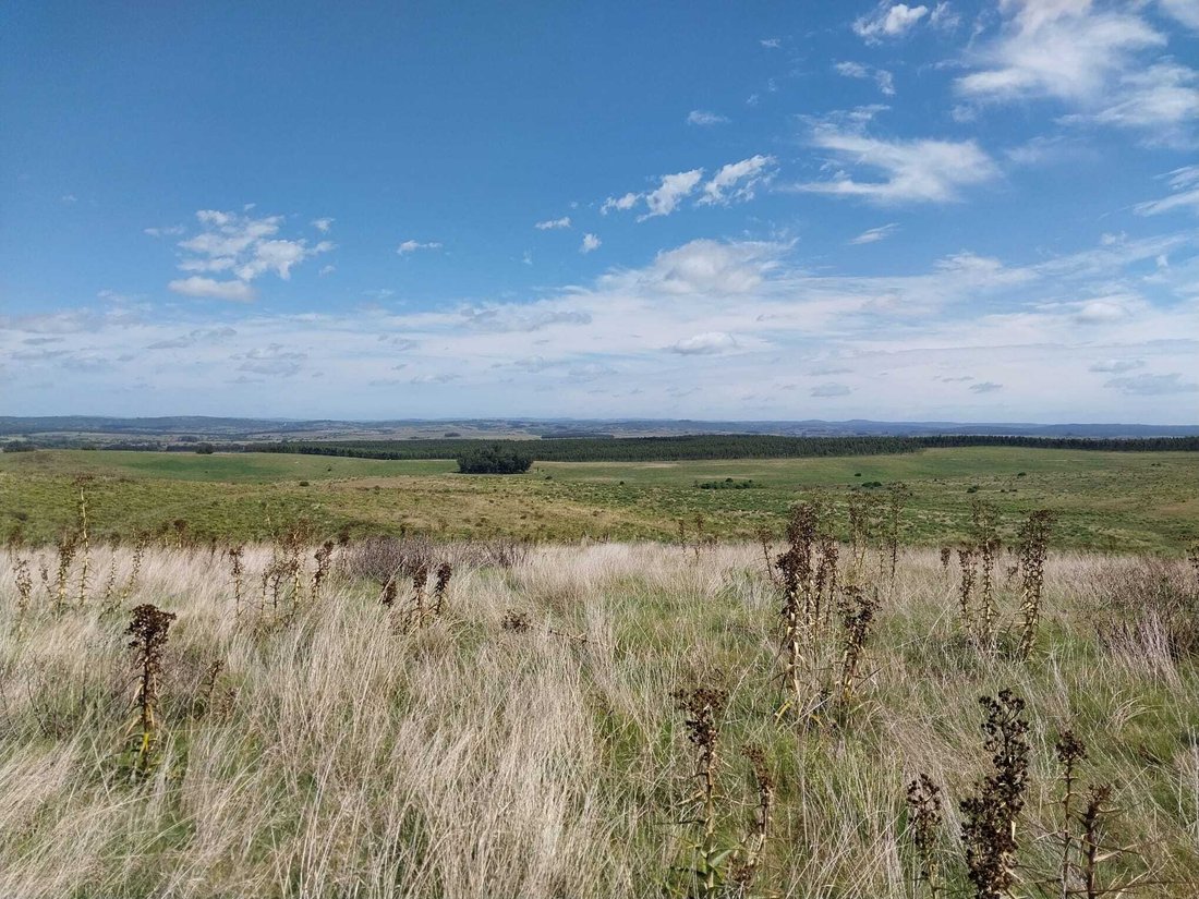 Farm Ranch in Garzón, Maldonado Department, Uruguay 1 - 17663937