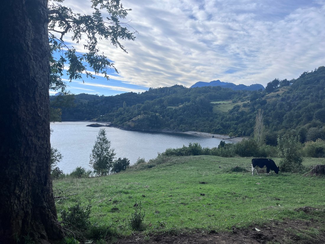 Land in Rininahue, Los Ríos, Chile 1 - 17664755