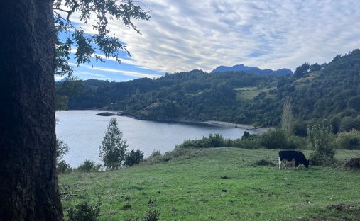 Land in Rininahue, Los Ríos, Chile 1