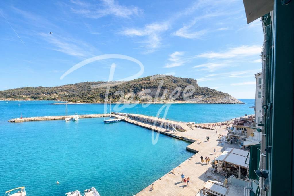 Apartment in Porto Venere, Liguria, Italy 1 - 17668240