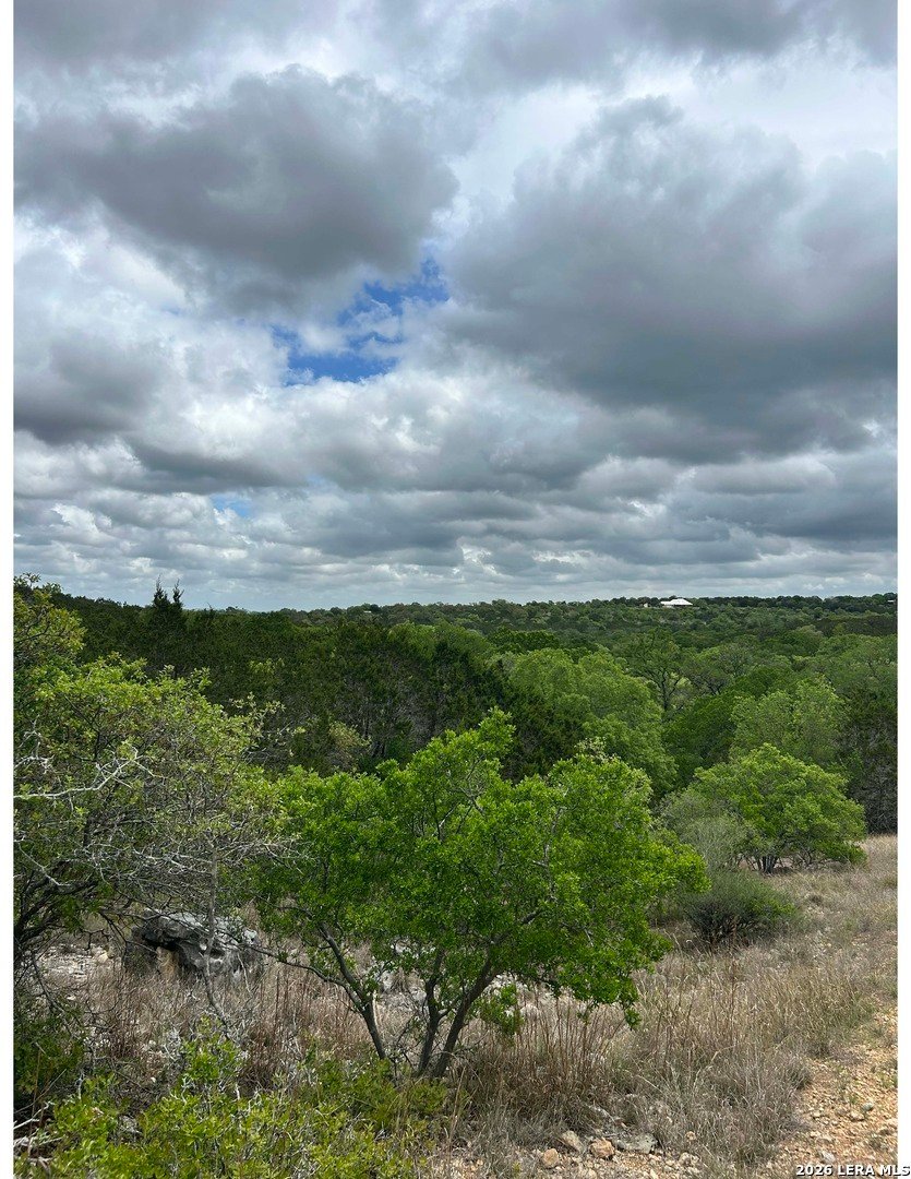 Farm Ranch in Boerne, Texas, United States 4 - 17668449