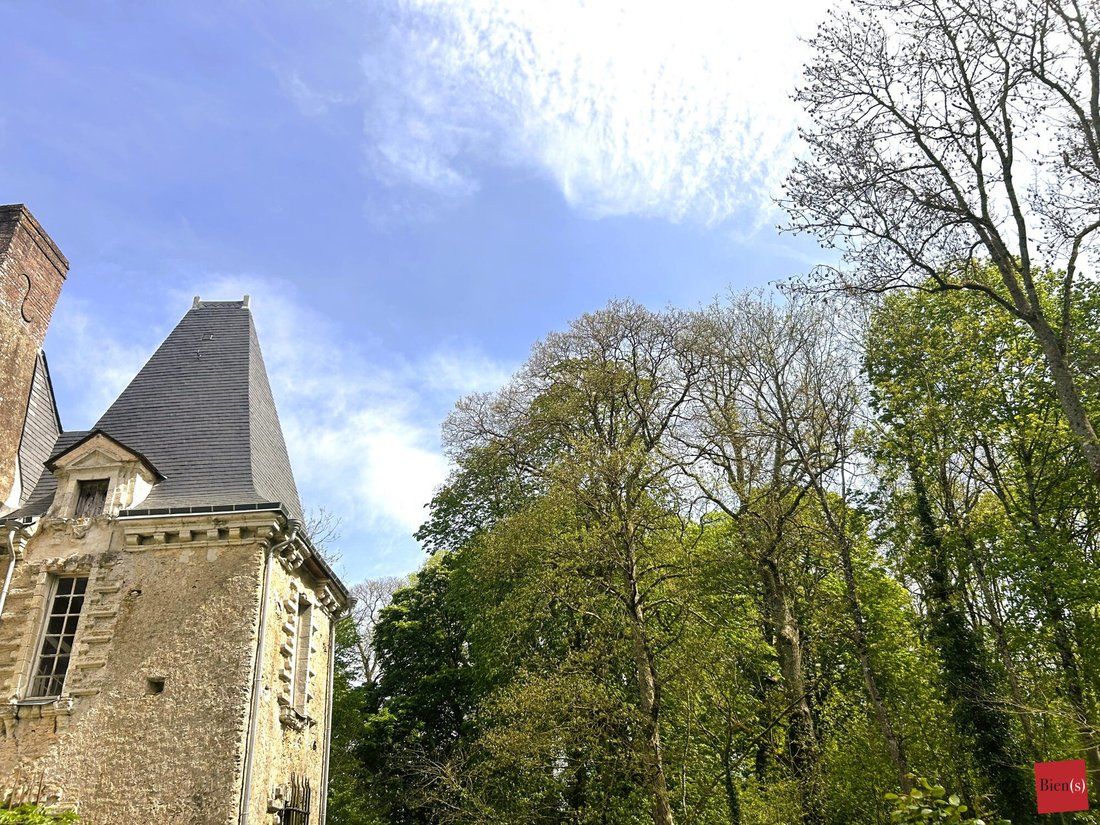 Estate in Pillerie-Bootz, Laval, Pays de la Loire 4 - 15652675