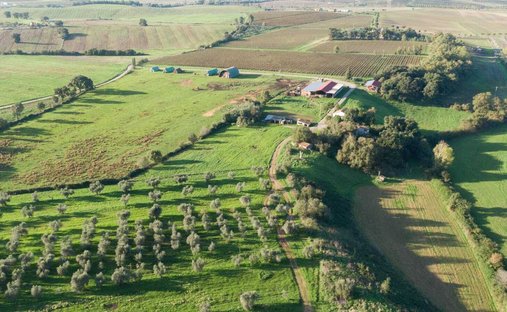 Azienda agricola a Roccastrada, Toscana, Italia 1