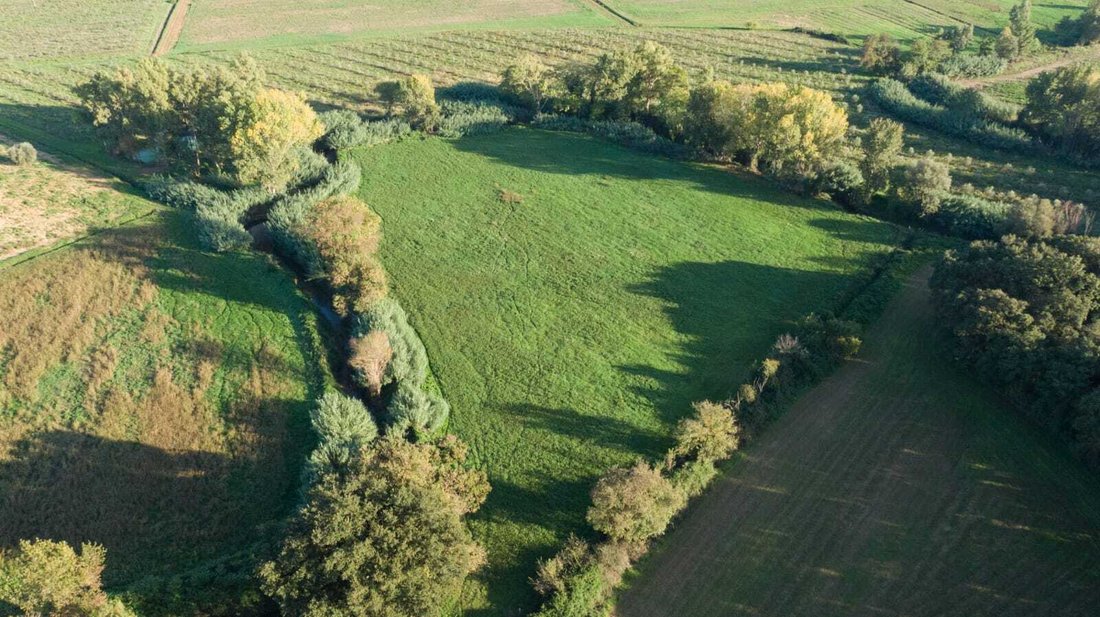 Farm Ranch in Roccastrada, Tuscany, Italy 4 - 17668764
