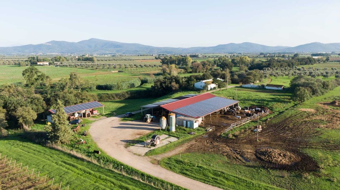 Farm Ranch in Roccastrada, Tuscany, Italy 5 - 17668764
