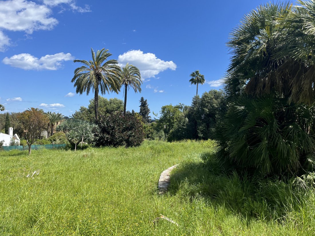 Terreno a Sotogrande, San Roque, Andalusia 4 - 17567346