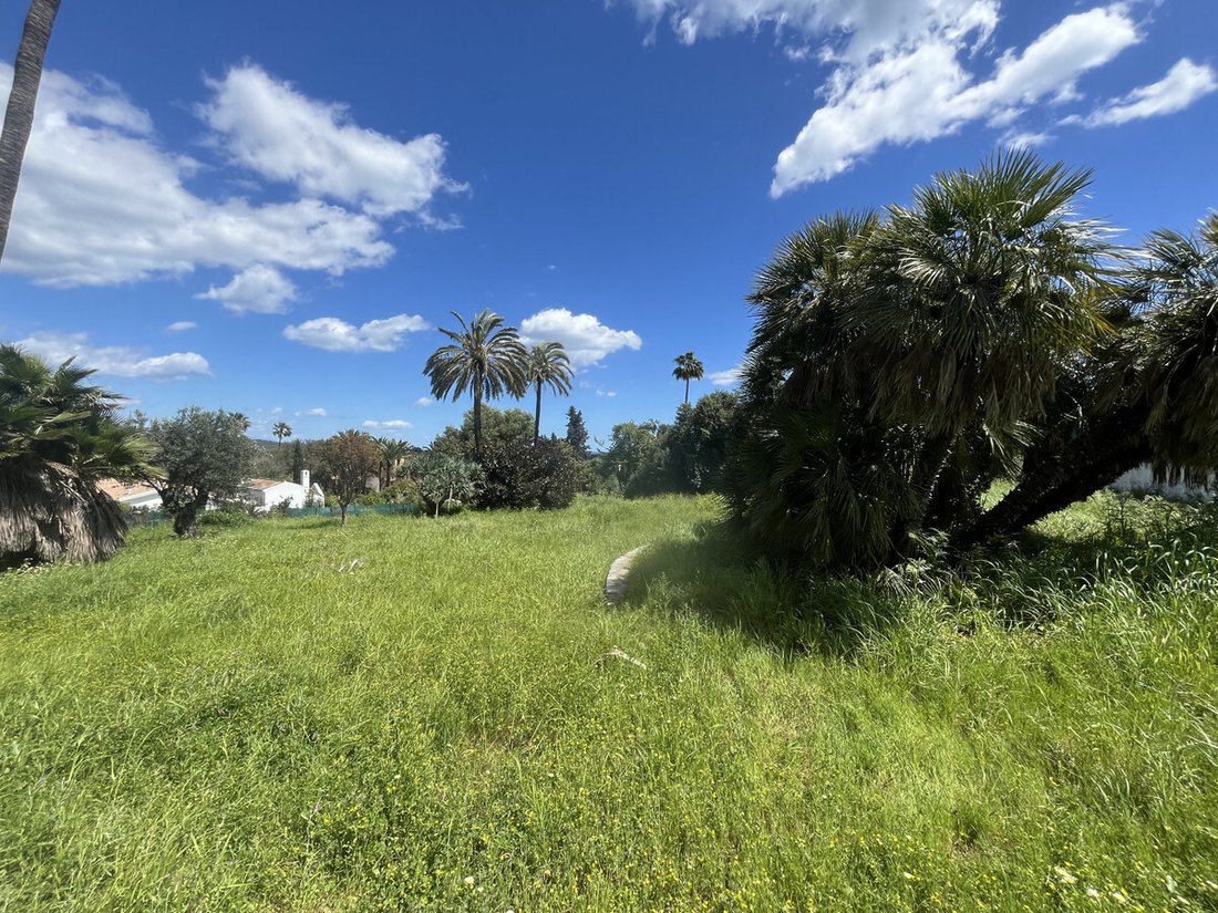Terreno a Sotogrande, San Roque, Andalusia 3 - 17567346
