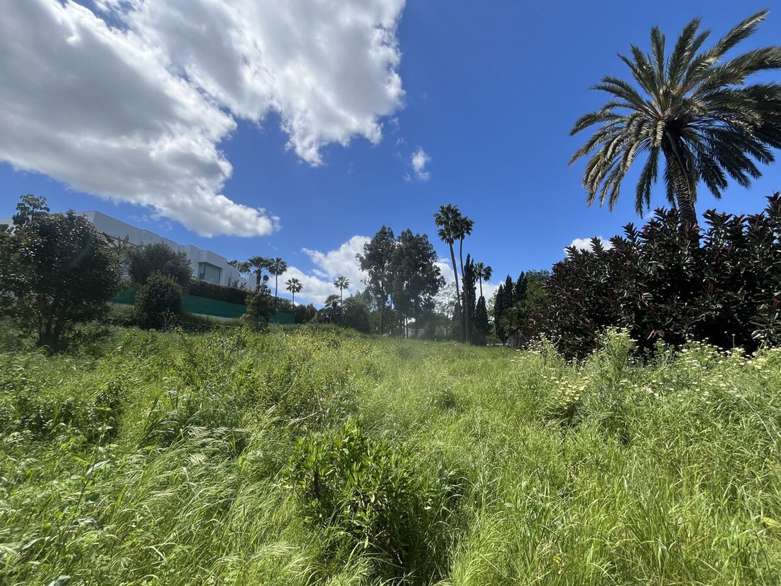 Terreno a Sotogrande, San Roque, Andalusia 5 - 17567346
