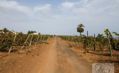 Finca in La Quinta, Isole Canarie, Spagna 1