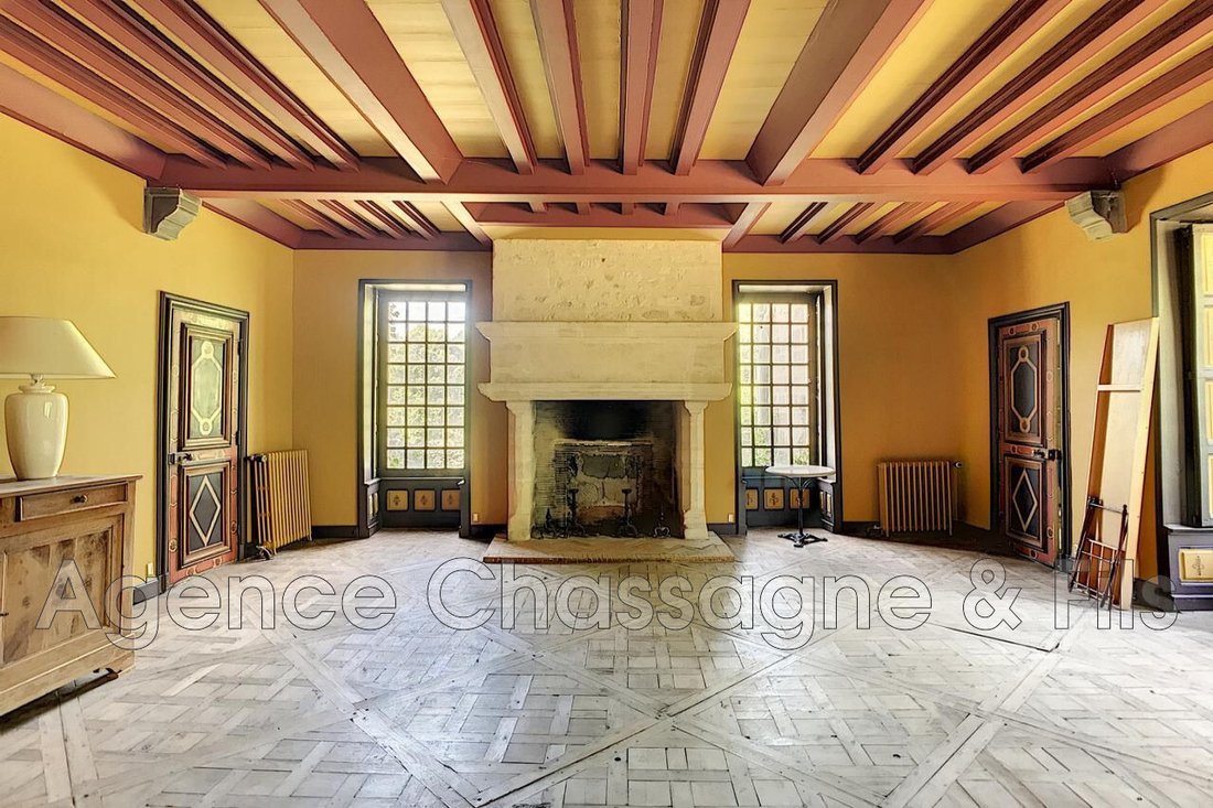 Villa in Brignac-la-Plaine, Nouvelle-Aquitaine, France 4 - 17668656