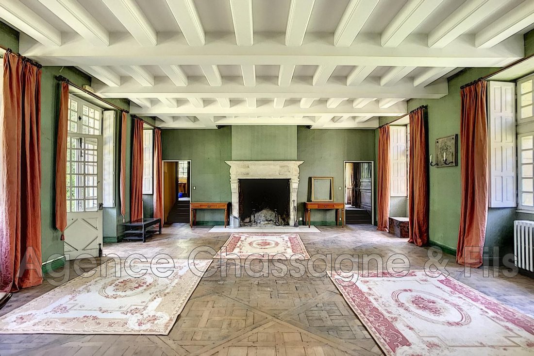 Villa in Brignac-la-Plaine, Nouvelle-Aquitaine, France 3 - 17668656