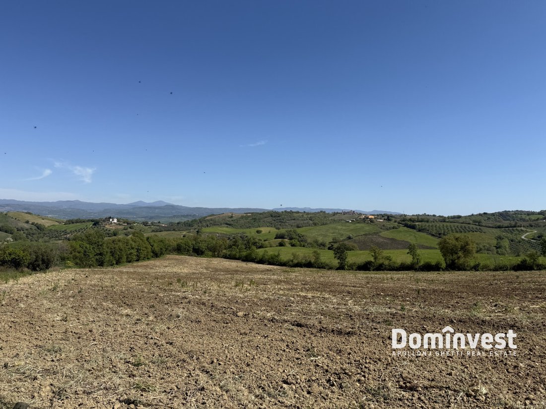House in Manciano, Tuscany, Italy 4 - 17667173