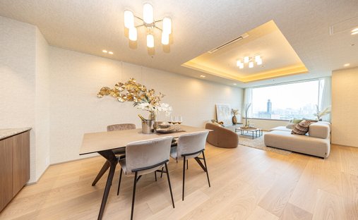 Condo in Chiyoda City, Tokyo, Japan 1