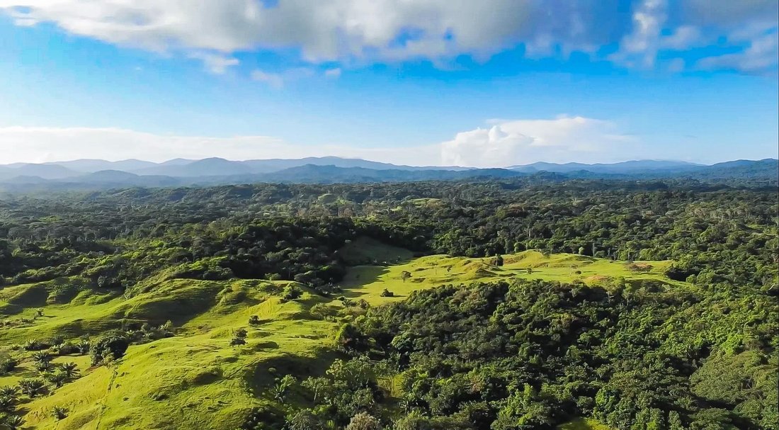Land in Palenque, Colón Province, Panama 1 - 17668872