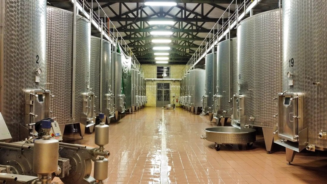 Farm Ranch in Saint Georges, Cahors, France 2 - 15174353
