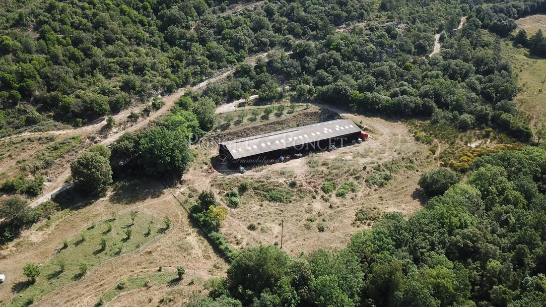 Villa in Centre Ville, Limoux, France 5 - 15174339
