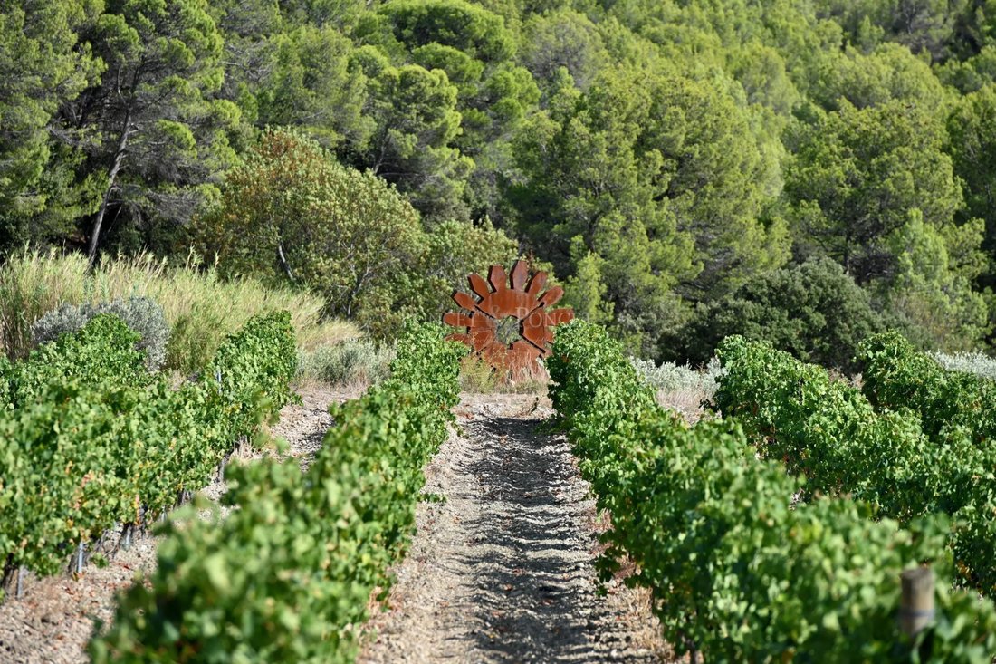 Farm Ranch in Minerve, Occitania, France 3 - 15483002