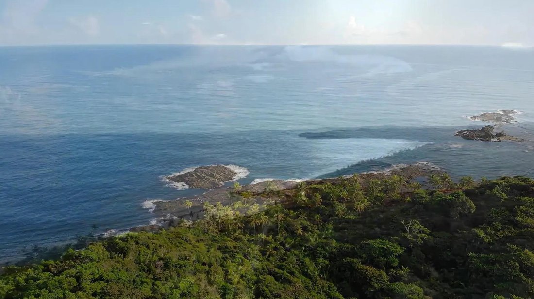Land in Palenque, Colón Province, Panama 4 - 17668872