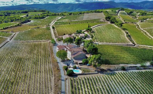 Farm Ranch in Minerve, Occitania, France 1