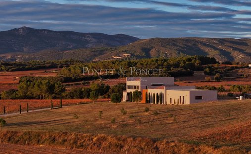 Farm Ranch in Montpeyroux, Occitania, France 1