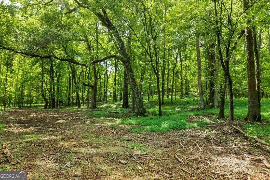 Land in Madison, Georgia, United States 4 - 17669113