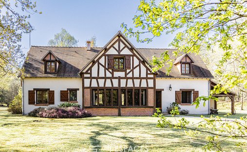Villa in Menestreau-en-Villette, Centre-Val de Loire, France 1