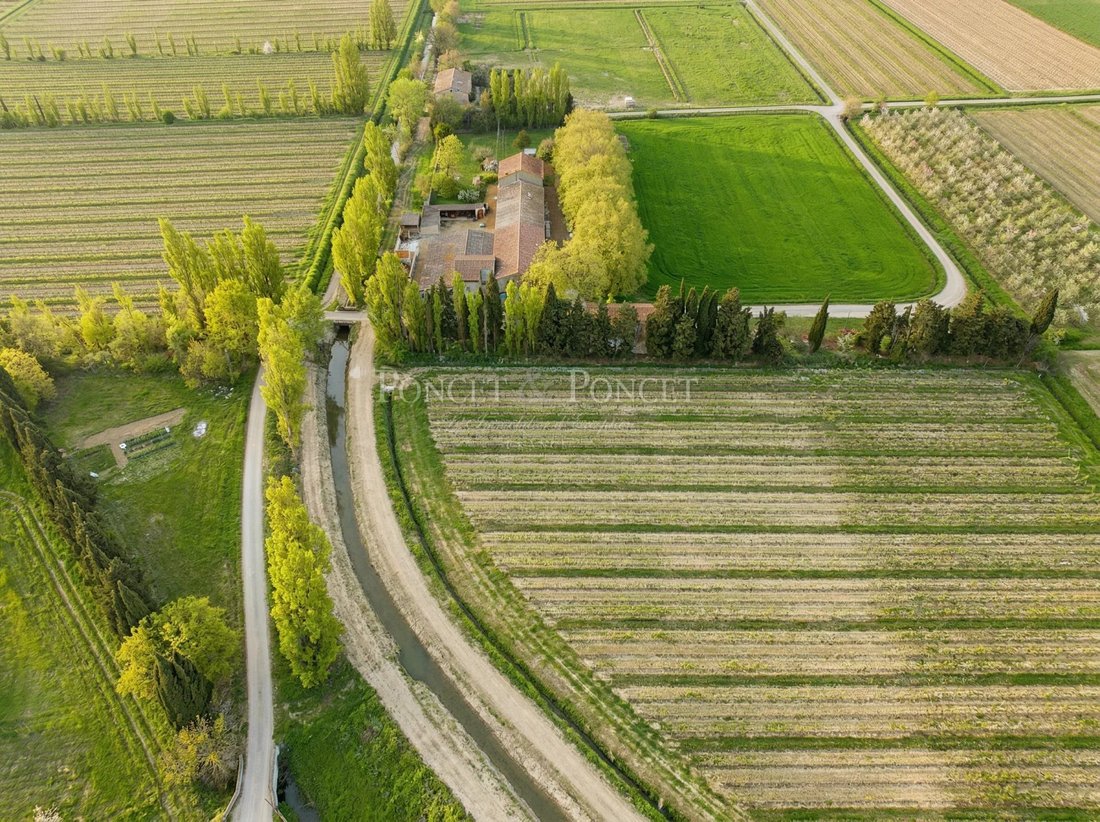 Farm Ranch in Puichéric, Occitania, France 5 - 16969078