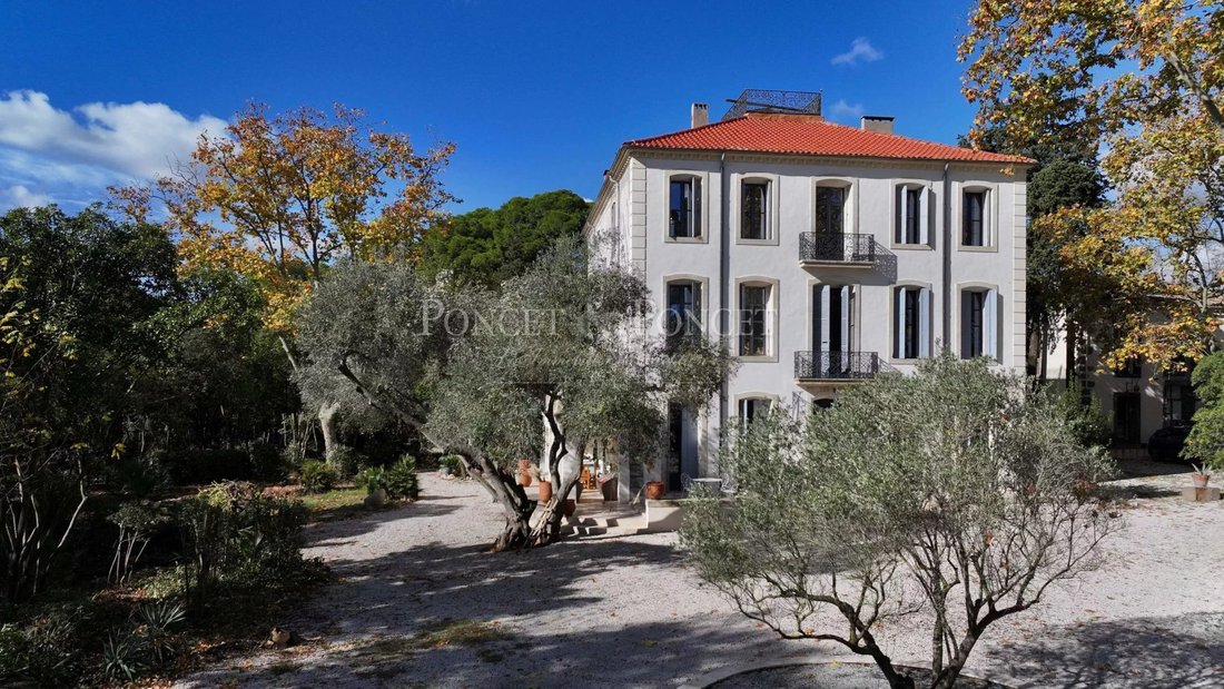 Villa in Cooperative, Agde, France 2 - 16957473