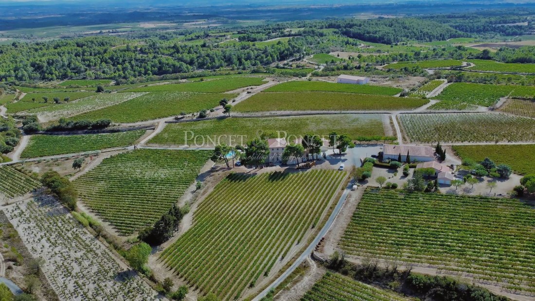 Farm Ranch in Minerve, Occitania, France 2 - 15483002