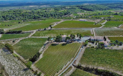 Azienda agricola a Minerve, Occitania, Francia 1