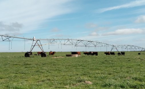 Farm Ranch in Cerro Colorado, Florida Department, Uruguay 1