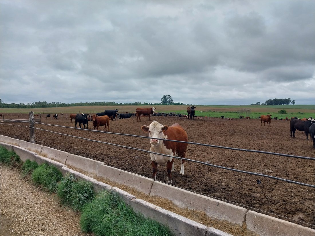Farm Ranch in Cerro Colorado, Florida Department, Uruguay 5 - 17669569