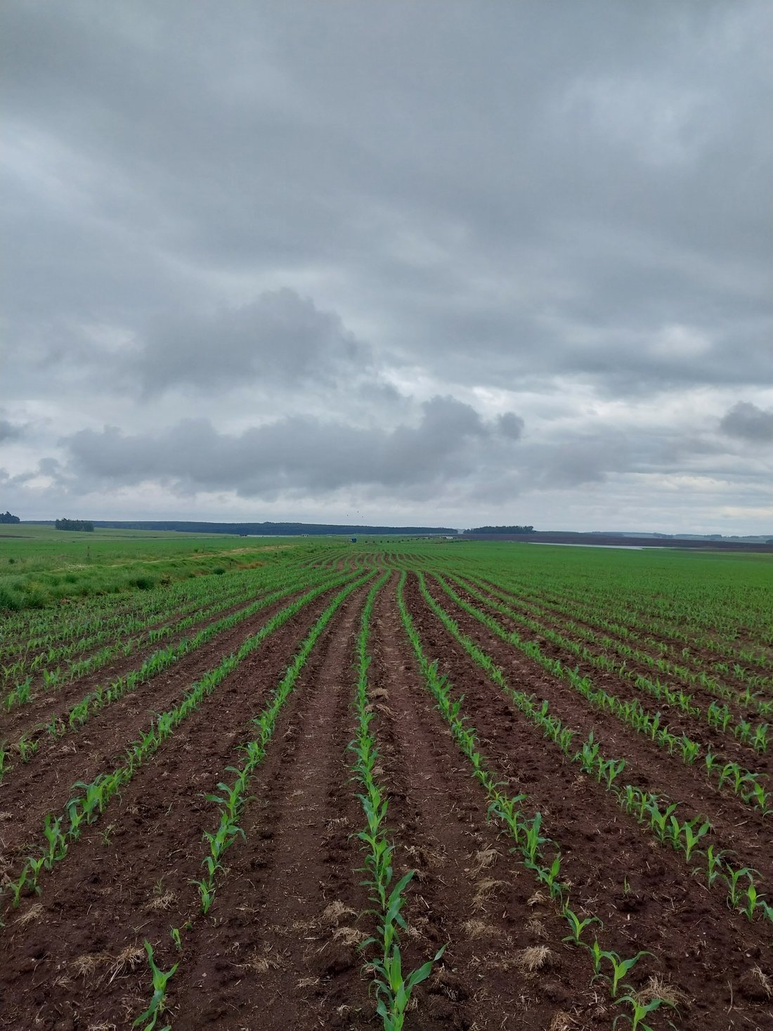 Farm Ranch in Cerro Colorado, Florida Department, Uruguay 4 - 17669569