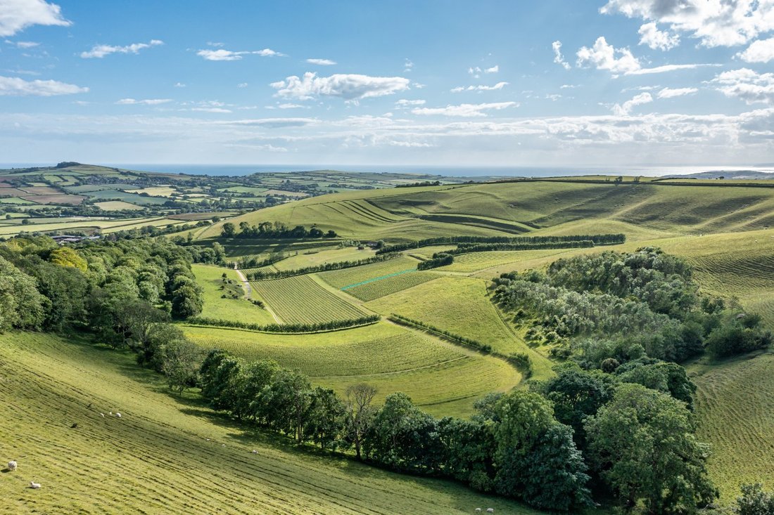 House in Litton Cheney, England 1 - 17670268