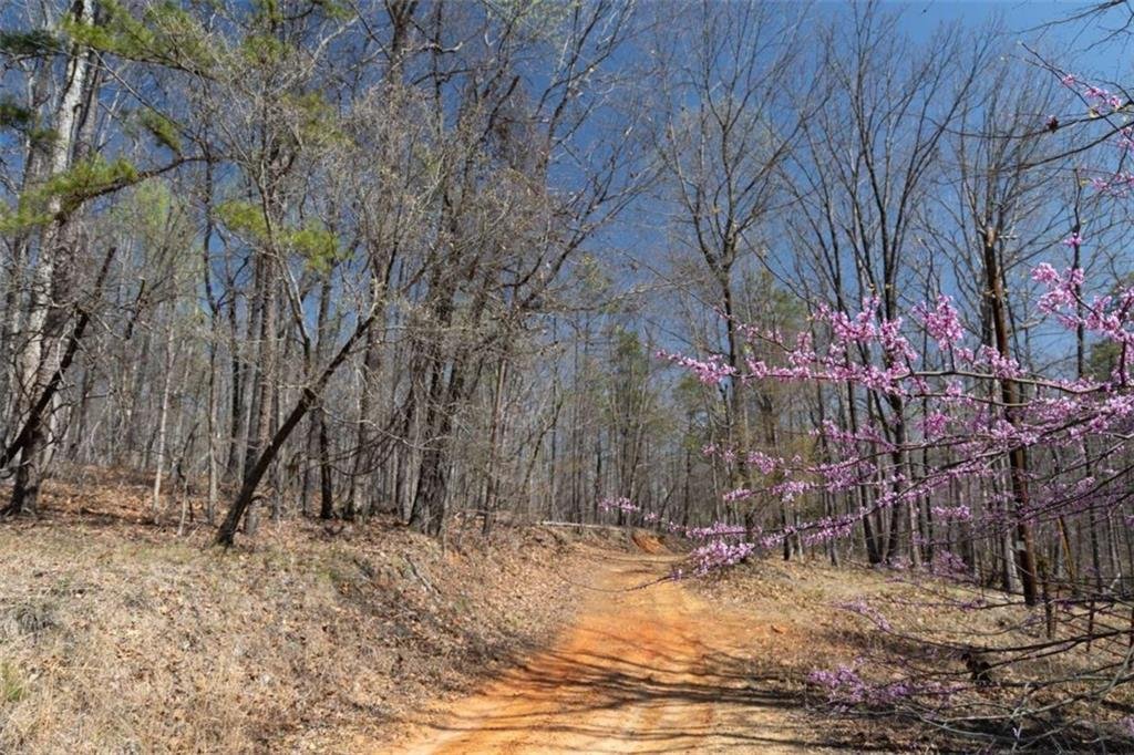 Land in Baldwin, Georgia, United States 4 - 17671673