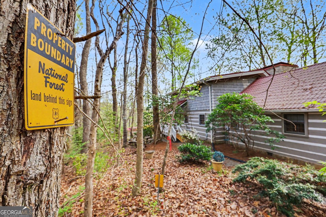 House in Hiawassee, Georgia, United States 3 - 17672860