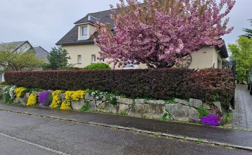 House in Wentzwiller, Grand Est, France 1