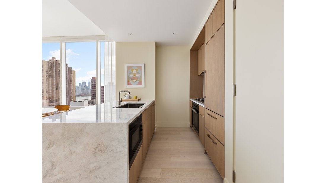 Condo in New York, New York, United States 3 - 17671012