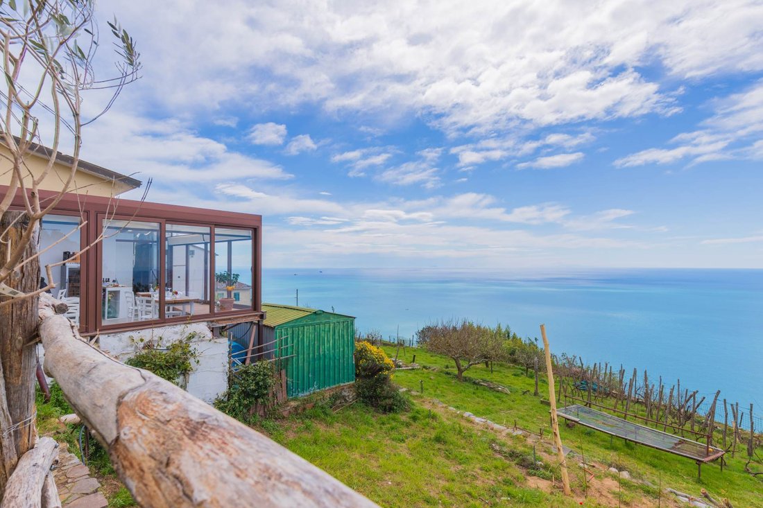 Villa in Biassa - Costa di Tramonti, La Spezia, Liguria 2 - 17673666
