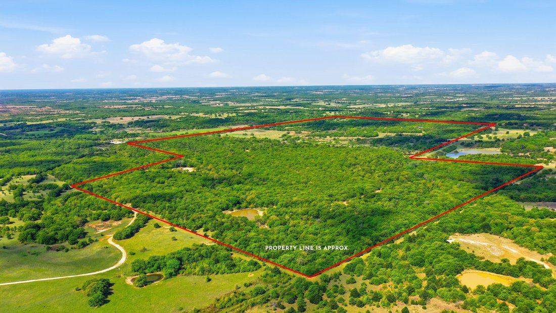 Farm Ranch in Forestburg, Texas, United States 1 - 17674281