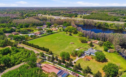 Casa en Lutz, Florida, Estados Unidos 1
