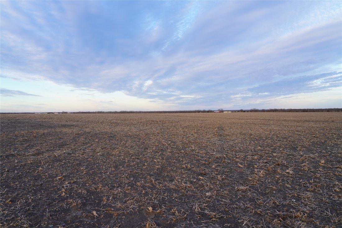 Terreno en Celeste, Texas, Estados Unidos 3 - 17671790