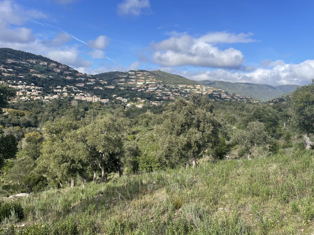 Land in La Londe-les-Maures, Provence-Alpes-Côte d'Azur, France 2 - 17673427