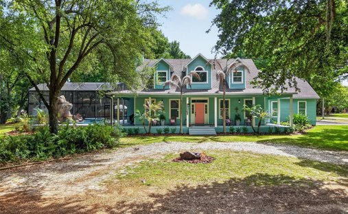 House in Oakland, Florida, United States 1