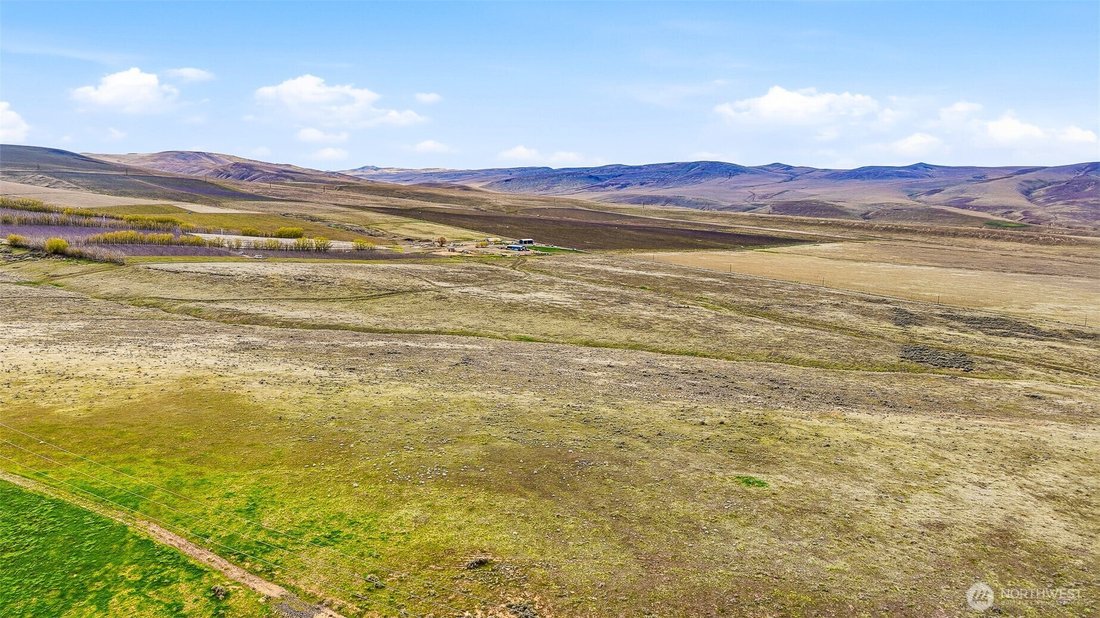 Land in Sunnyside, Washington, United States 4 - 17671775